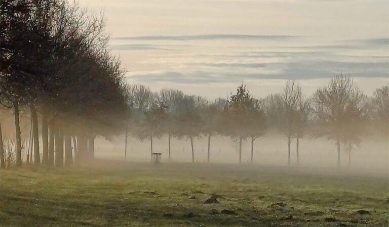 Disc Golf Lüdinghausen dominiert Heim-Turnier